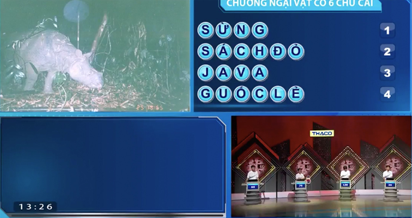 Phú An giải nhanh gọn ẩn số chướng ngại vật là tê giác. Phú An giải nhanh gọn ẩn số chướng ngại vật là tê giác.