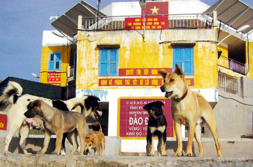 Chiều chiều, kéo cả đại gia đình ra hóng mát trước bia chủ quyền 