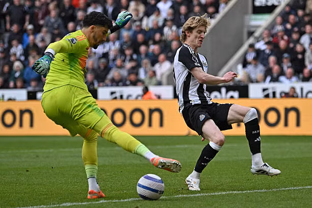 MU thua sốc trên sân Newcastle ảnh 20 MU thua sốc trên sân Newcastle ảnh 20