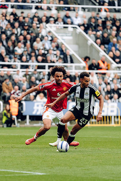 MU thua sốc trên sân Newcastle ảnh 5