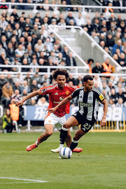 MU thua sốc trên sân Newcastle ảnh 5 MU thua sốc trên sân Newcastle ảnh 5