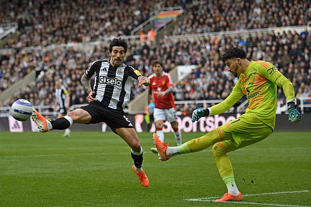 MU thua sốc trên sân Newcastle ảnh 24 MU thua sốc trên sân Newcastle ảnh 24