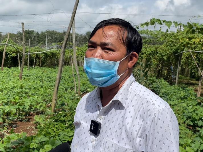 Ông Thái bên cạnh vườn su su rộng 5ha nhà ông quyết dành ủng hộ chính quyền đổi trang thiết bị phòng chống dịch Ông Thái bên cạnh vườn su su rộng 5ha nhà ông quyết dành ủng hộ chính quyền đổi trang thiết bị phòng chống dịch