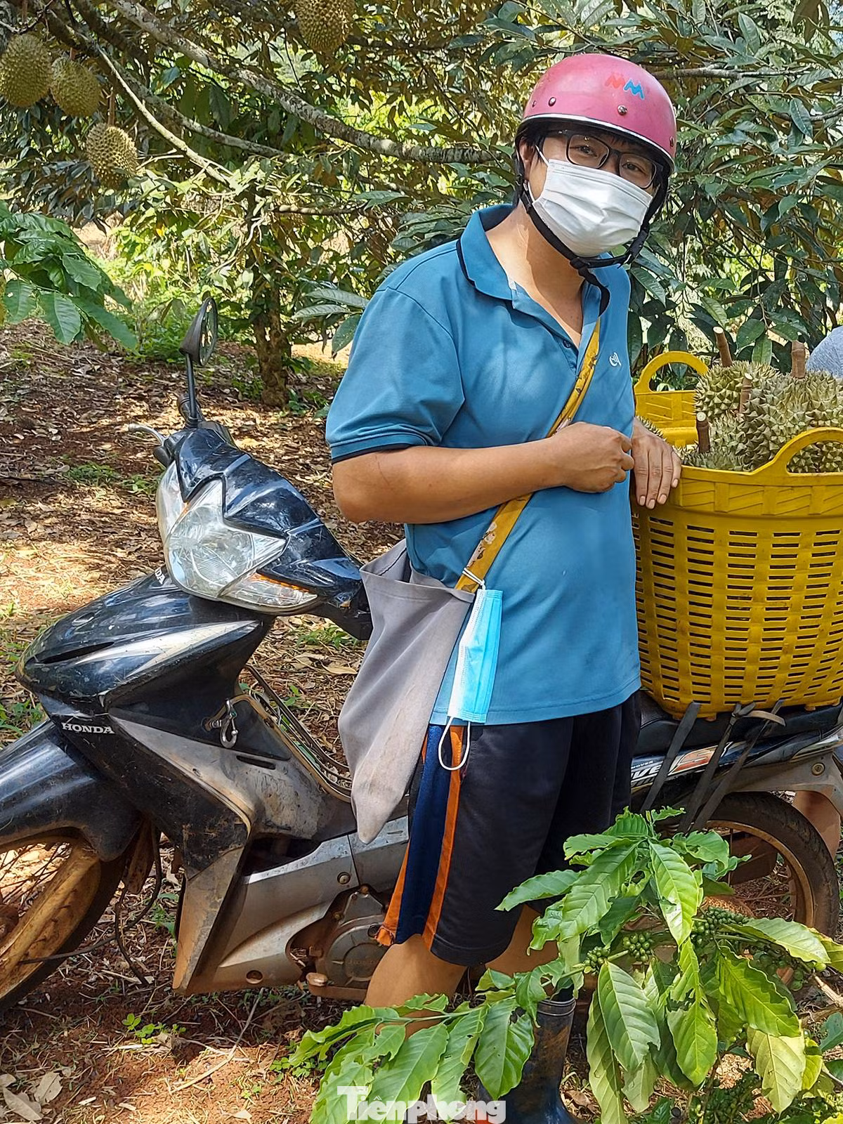 Anh Đặng Văn Huy (33 tuổi, chồng chị Ân), cho biết, với 5ha sầu riêng (trồng xen cà phê) một năm gia đình anh thu được khoảng 25 tấn quả, doanh thu khoảng 800 triệu - 1 tỷ đồng, sau khi trừ đi các chi phí đầu tư còn lãi được khoảng 300 triệu đồng. Tuy nhiên, theo Huy nghề này rất rủi ro, phụ thuộc chính vào thời tiết. Có năm chuẩn bị thu hoạch thì gặp giông lốc, cả 20 tấn sầu riêng bị gãy rụng. Chưa kể 2 năm trở lại đây dịch COVID-19 cũng khiến việc tiêu thụ sầu riêng khó khăn hơn.