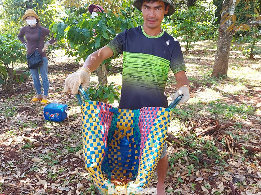 Sau một buổi hứng sầu, chiếc làn này cũng nát bét, phải vứt đi Sau một buổi hứng sầu, chiếc làn này cũng nát bét, phải vứt đi