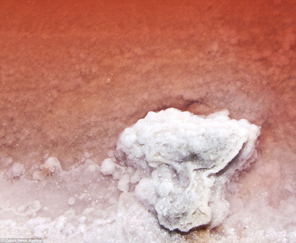 Dòng sông này có hàm lượng muối khá cao