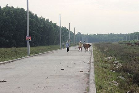 Sau lùm xùm bán dự án...'bánh vẽ', Địa ốc Alibaba lại bị thanh tra 'sờ gáy' ảnh 1