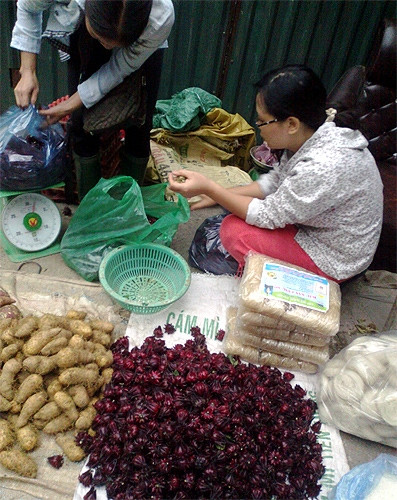 Hoa bụp giấm chạy hàng tại các chợ