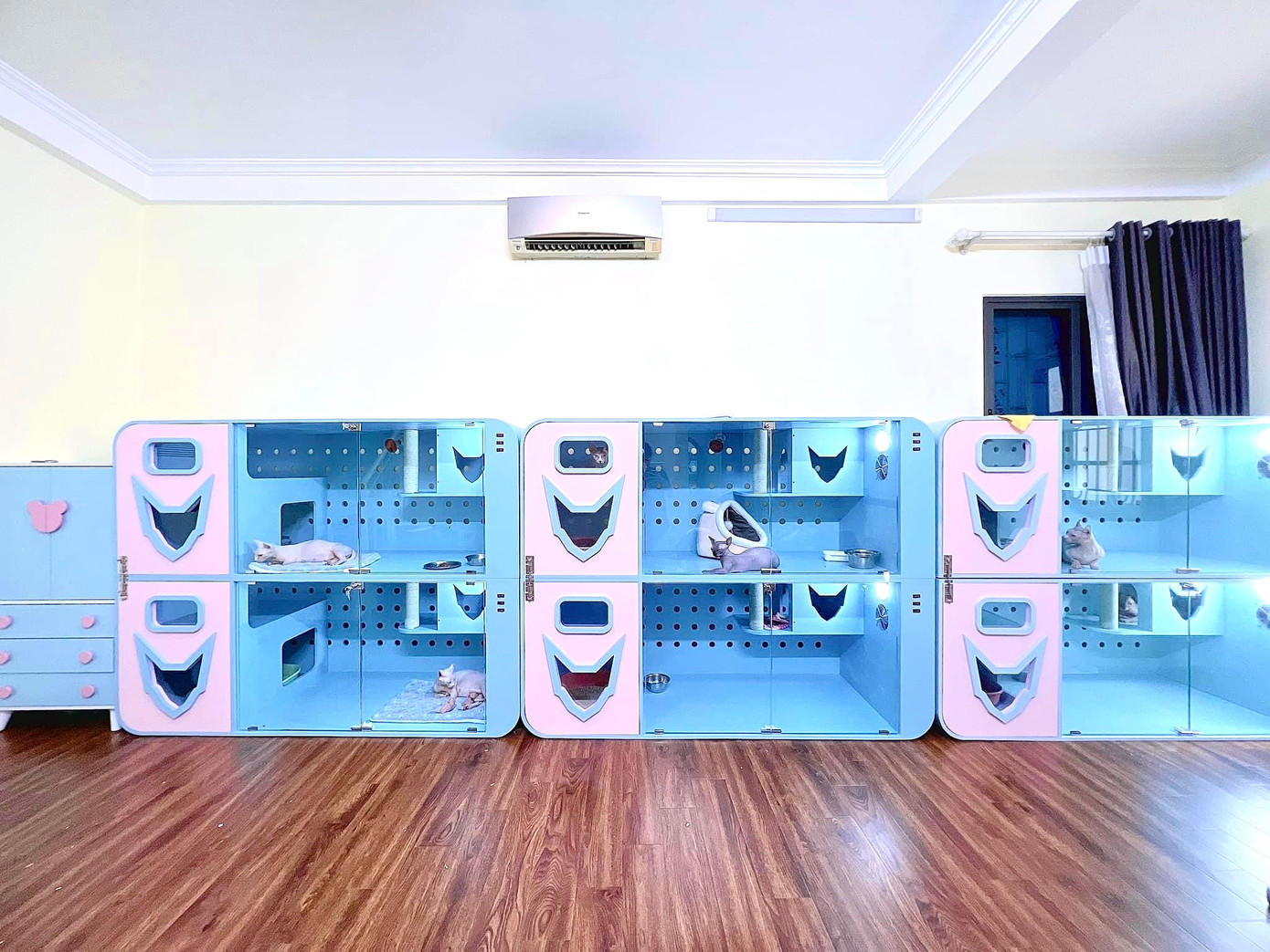 Những chuồng nuôi bằng gỗ, bên trong có gắn máy sưởi được My đặt làm riêng cho trại mèo của mình. Những chuồng nuôi bằng gỗ, bên trong có gắn máy sưởi được My đặt làm riêng cho trại mèo của mình.