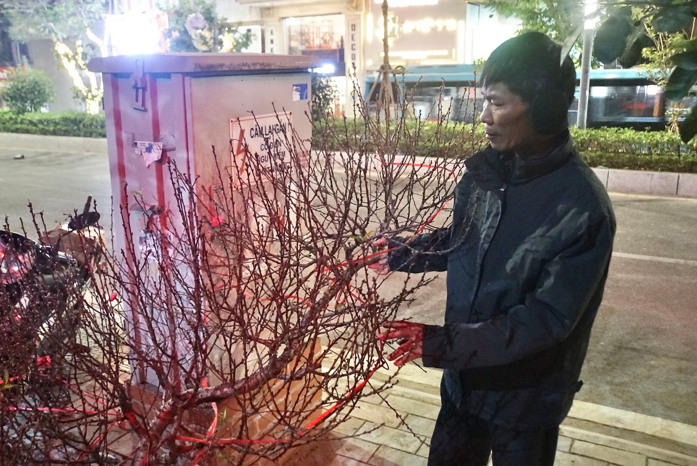 Anh Lê Văn Lương (quê Hưng Yên), người có thâm niên buôn bán đào Tết gần 20 năm ở Hà Nội chia sẻ, trời rét thì khổ người bán nhưng lại tốt cho đào. "Vậy nên năm nào mình cũng mong trời rét một chút, chỉ cần đừng rét đậm rét hại làm thui, chột nụ hoa là được. Cũng khổ nhưng dần rồi cũng quen", anh Lương chia sẻ.