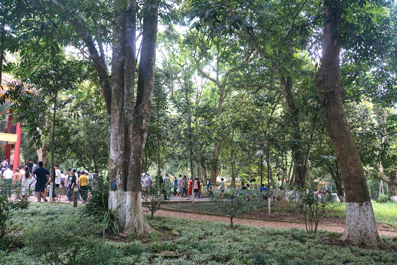 Vườn cây xanh mát trước sân của khu nhà hai tầng.