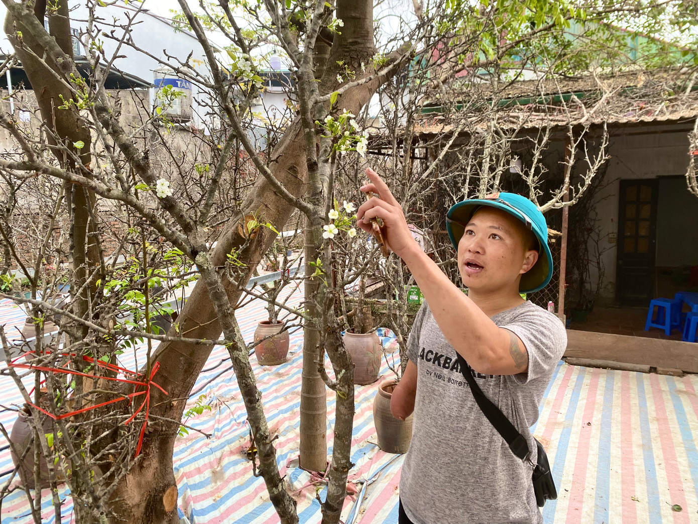 Anh Dương Văn Công đang giới thiệu về những cành hoa lê tại đại lý hoa rừng Công Vinh.