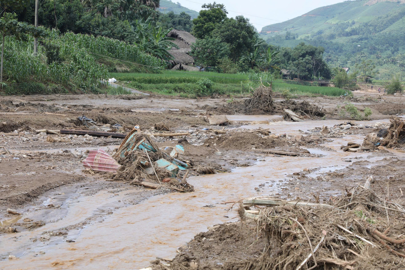 Cột nhà, mái tôn, cây cối... bị hàng triệu tấn đất đá nghiền nát.