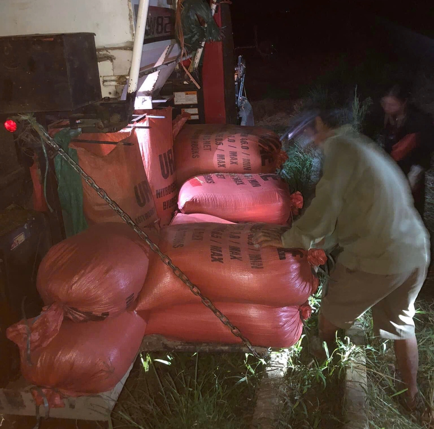 Nông dân xã An Thịnh, huyện Văn Yên, Yên Bái hối hả gặt lúa trong đêm ngày 6/9 trước khi bão YAGI tăng cường độ. Nông dân xã An Thịnh, huyện Văn Yên, Yên Bái hối hả gặt lúa trong đêm ngày 6/9 trước khi bão YAGI tăng cường độ.