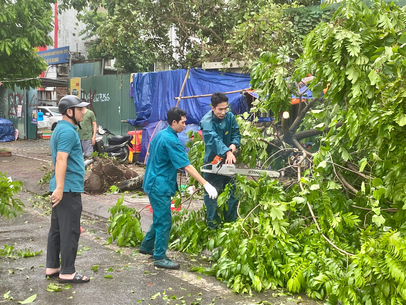 Bão số 3 (Yagi ) đi qua khiến hàng vạn cây xanh ở hà nội gãy đổ, bật gốc nằm ngổn ngang khắp các nẻo đường Hà Nội, cản trở giao thông, gây thiệt hại tài sản của người dân. Ngay sau khi cơn bão đi qua, các cơ quan chức năng đã tập trung nhân lực, huy động tối đa lực lượng để tiến hành dọn dẹp, làm sạch phố phường. Một số nơi, cây xanh gãy đổ cùng với cột điện, cáp quang thì lực lượng địa phương sẽ phối hợp với công ty điện lực để tiến hành dọn dẹp. Bão số 3 (Yagi ) đi qua khiến hàng vạn cây xanh ở hà nội gãy đổ, bật gốc nằm ngổn ngang khắp các nẻo đường Hà Nội, cản trở giao thông, gây thiệt hại tài sản của người dân. Ngay sau khi cơn bão đi qua, các cơ quan chức năng đã tập trung nhân lực, huy động tối đa lực lượng để tiến hành dọn dẹp, làm sạch phố phường. Một số nơi, cây xanh gãy đổ cùng với cột điện, cáp quang thì lực lượng địa phương sẽ phối hợp với công ty điện lực để tiến hành dọn dẹp.