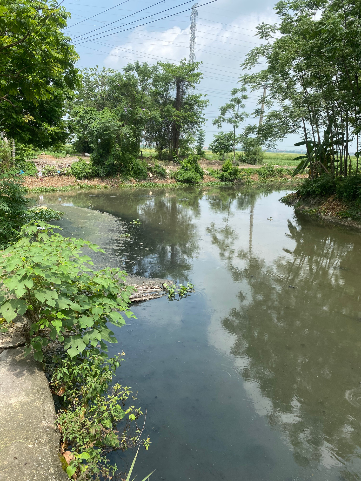 Dòng nước đục ngầu, bốc mùi hôi thối nồng nặc do bị ô nhiễm nặng nề của kênh Hòa Bình (đoạn chảy qua xã Cao Viên và xã Bích Hòa thuộc huyện Thanh Oai, Hà Nội). Theo phản ánh của người dân sống quanh khu vực này, có ba nguồn gây ô nhiễm cho dòng kênh: Nước thải công nghiệp từ Cụm công nghiệp Thanh Oai và cơ sở giết mổ gia súc Minh Hiền, nước thải sinh hoạt từ thôn Thạch Bích.