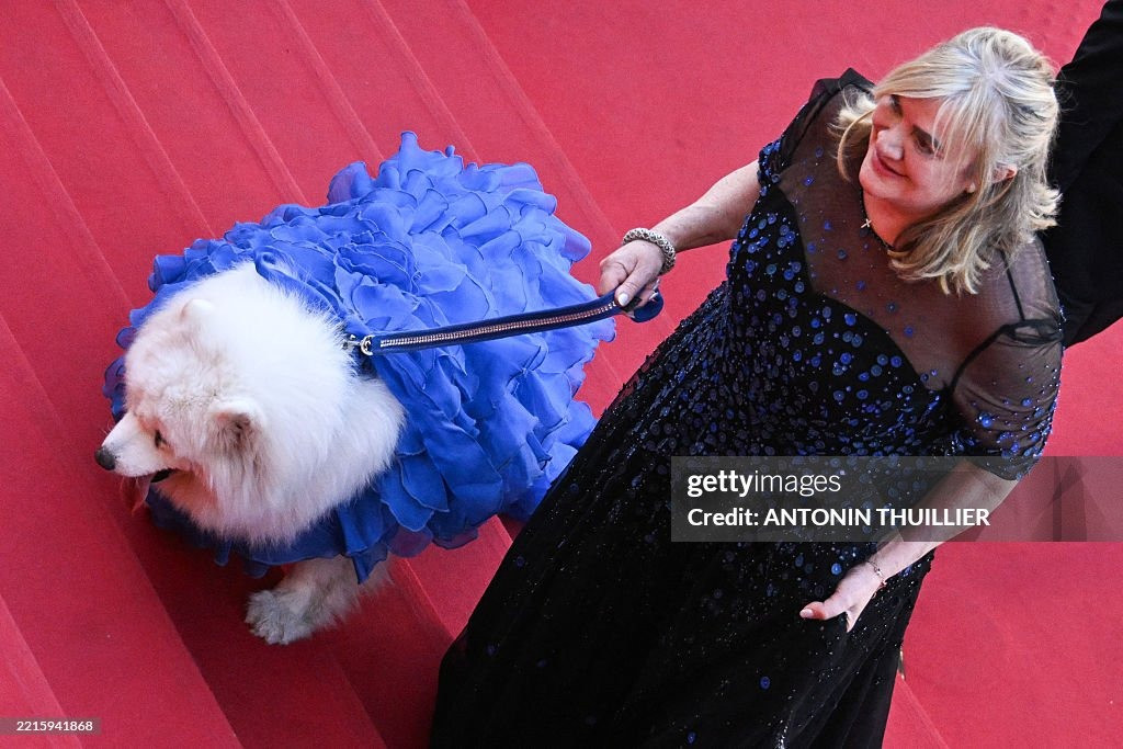 Nhà hoạt động vì quyền động vật người Pháp Julia De Cadenet thu hút sự chú ý khi dắt theo chú chó Samoyed tên Felicity lên thảm đỏ. Ảnh: Getty Images.