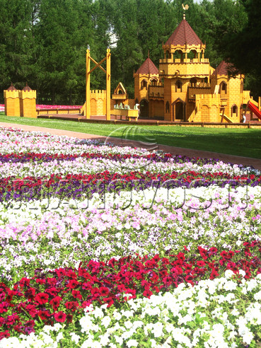 Lễ hội Kiến trúc Hoa và Vườn Lần thứ sáu tại Moscow Lễ hội Kiến trúc Hoa và Vườn Lần thứ sáu tại Moscow