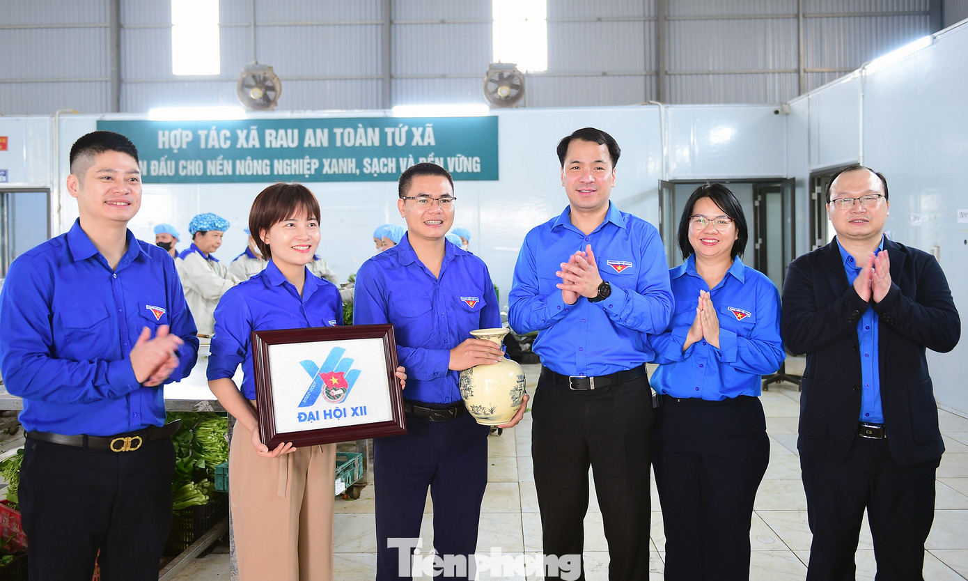 Bí thư T.Ư Đoàn Ngô Văn Cương thăm và tặng quà tới đoàn viên thanh niên thực hiện mô hình hợp tác xã rau an toàn Tứ Xã. Ảnh: Xuân Tùng Bí thư T.Ư Đoàn Ngô Văn Cương thăm và tặng quà tới đoàn viên thanh niên thực hiện mô hình hợp tác xã rau an toàn Tứ Xã. Ảnh: Xuân Tùng