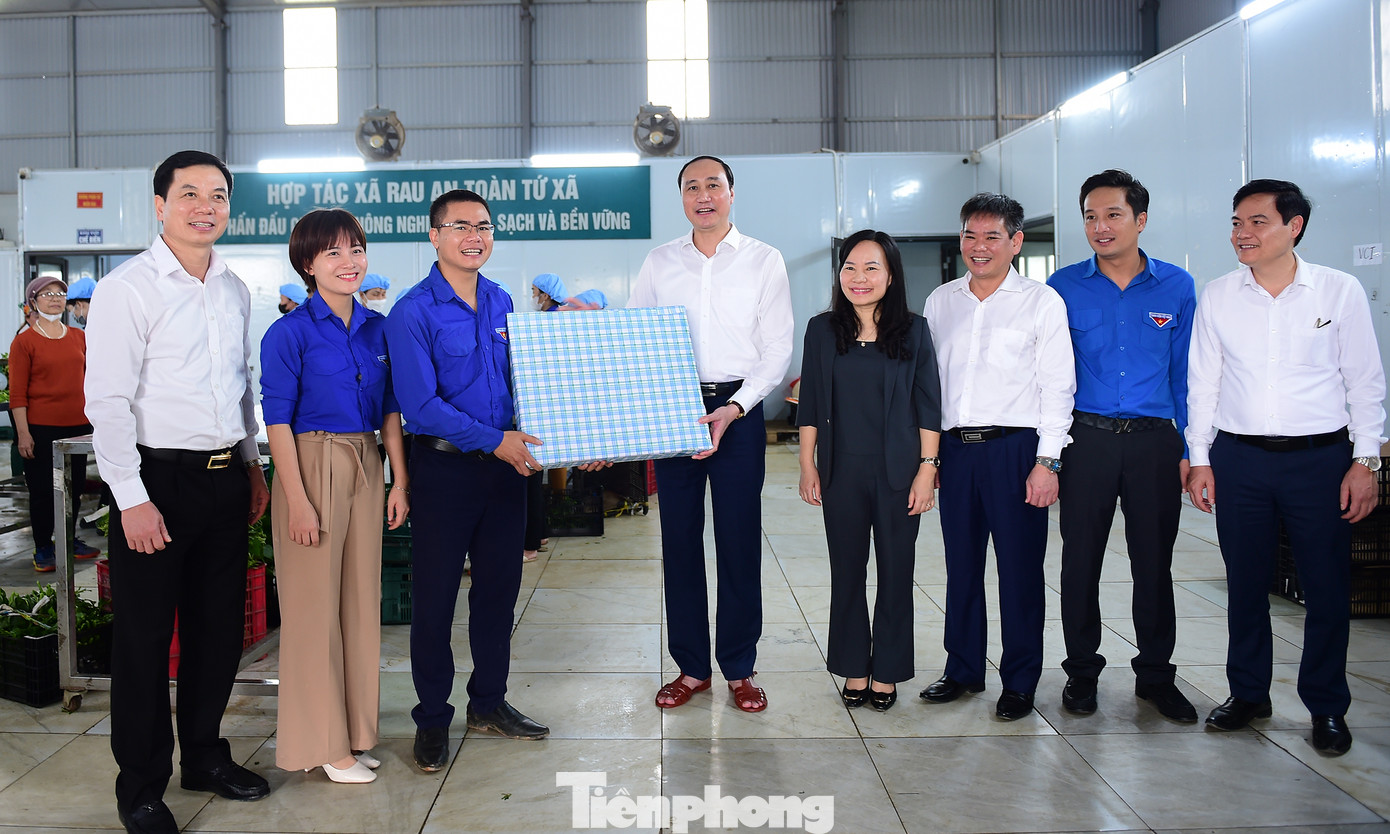 Phó Bí thư thường trực Tỉnh uỷ Phú Thọ Phùng Khánh Tài thăm và tặng quà tới đoàn viên thanh niên thực hiện mô hình hợp tác xã rau an toàn Tứ Xã. Ảnh: Xuân Tùng Phó Bí thư thường trực Tỉnh uỷ Phú Thọ Phùng Khánh Tài thăm và tặng quà tới đoàn viên thanh niên thực hiện mô hình hợp tác xã rau an toàn Tứ Xã. Ảnh: Xuân Tùng