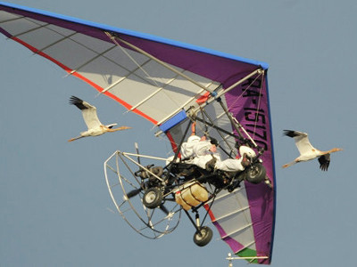 Tổng thống Putin bay dẫn đầu đàn sếu di trú. Ảnh: Ria-Novosti