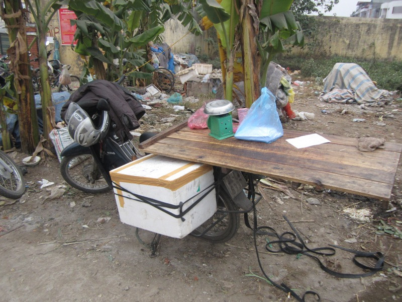 Chiếc xe máy của hai vợ chồng anh Dũng bán cá sấu