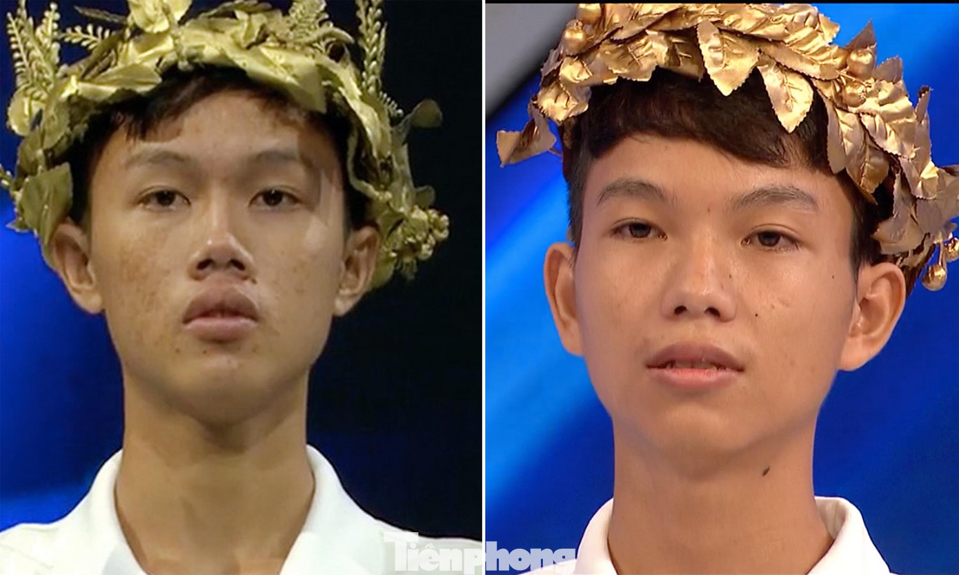 Hai anh em Tân Nhật và Quý Hải đều đã có vòng nguyệt quế tại cuộc thi Đường lên đỉnh Olympia cho riêng mình. Hai anh em Tân Nhật và Quý Hải đều đã có vòng nguyệt quế tại cuộc thi Đường lên đỉnh Olympia cho riêng mình.