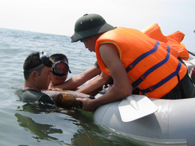 Thu gom bom đạn, vật nổ dưới nước tại công trình cảng Kê Gà (Bình Thuận)