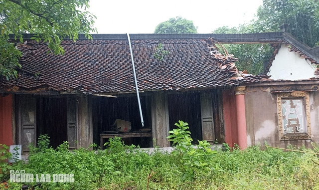 Đây đều là những ngôi nhà cổ có tuổi đời hơn 100 năm, được chủ nhân dày công sưu tầm.