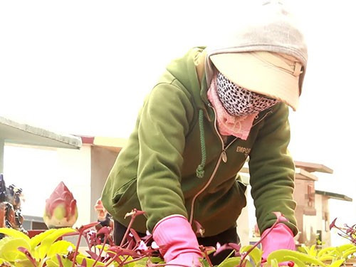 Mưu sinh bằng nghề chăm mộ phần nghĩa trang ảnh 1