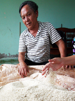 Chồng bà Hợp bên nong gạo biến hình từ cơm nếp
