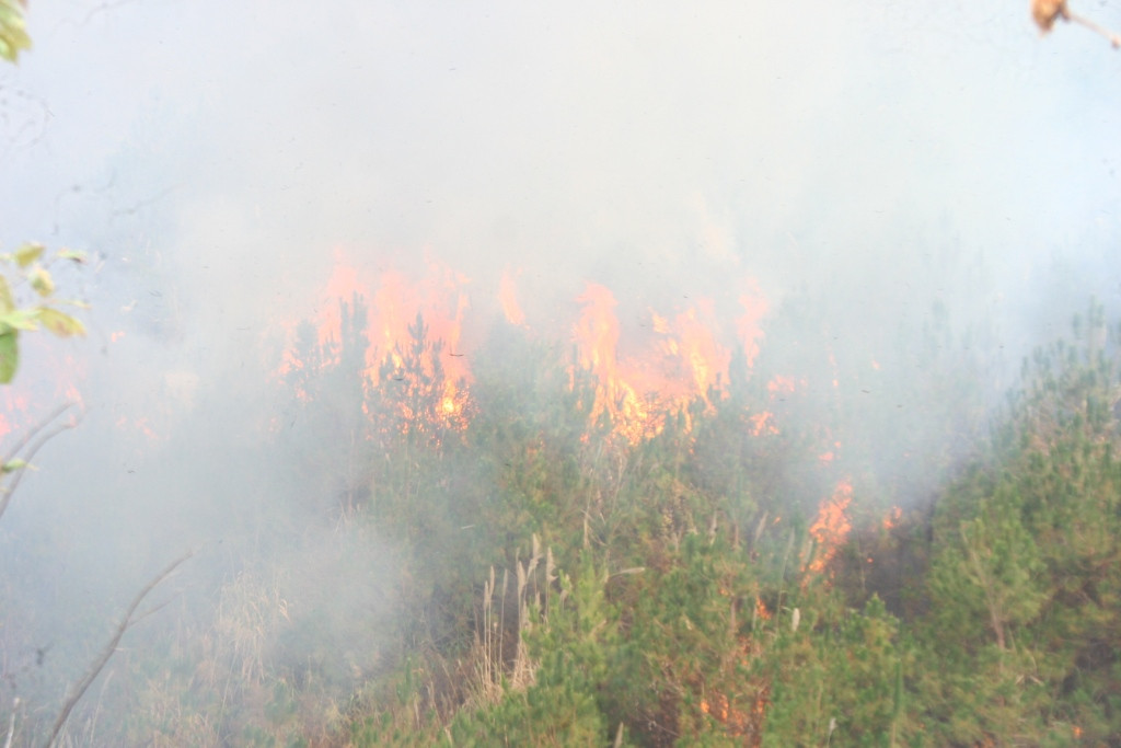 có lúc ngọn lửa cao tới 5-7m , đánh bật lực lượng chữa cháy