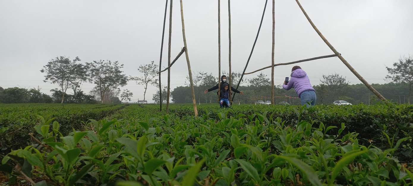 Lộc non mơn mởn những ngày đầu năm người dân tin rằng sẽ mang lại nhiều may mắn, thuận lợi cho năm mới.