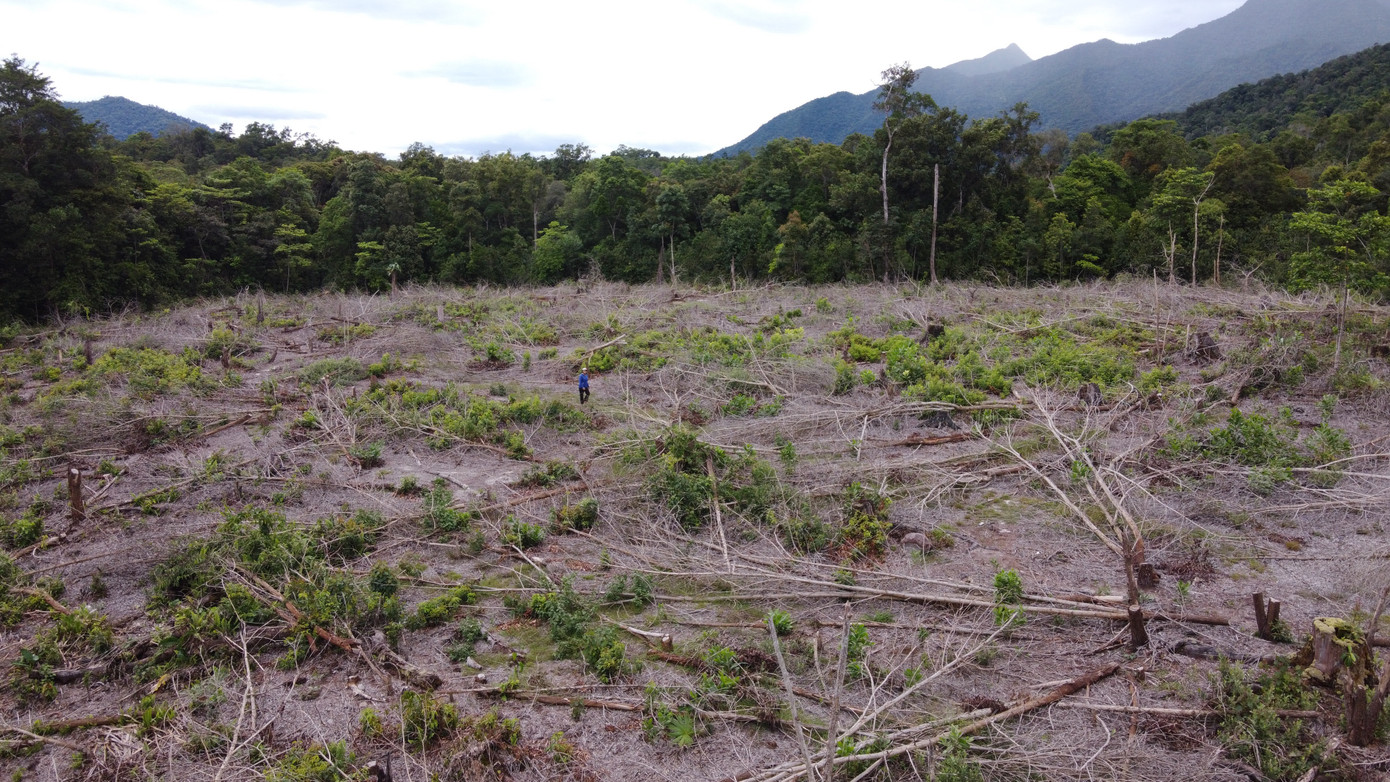 Phúc đáp khiếu nại của người dân, UBND huyện Đông Giang cho biết, huyện nhận bàn giao thực địa tổng diện tích hơn 6,4ha đất giao khoán chồng lấn, theo 15 mốc ranh giới hành chính giữa 2 địa phương và không nhận bất cứ hồ sơ nào liên quan đến đất và tài sản trên đất của bà Đặng Thị Lợi. Trên cơ sở hồ sơ bàn giao, UBND huyện đã thực hiện các thủ tục đảm bảo theo đúng quy định pháp luật.