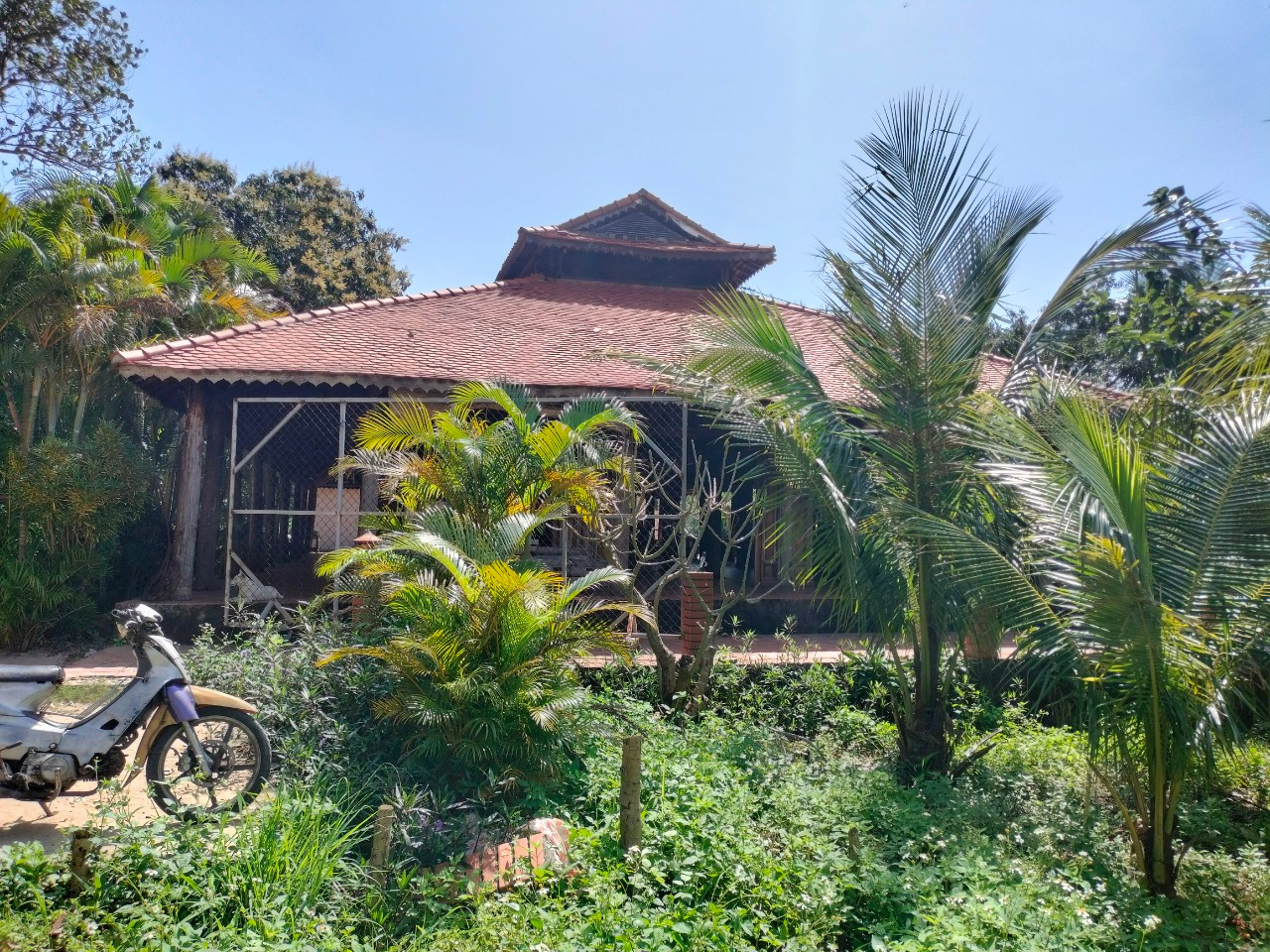 Nhà hàng bãi Nam tại bán đảo Sơn Trà đã dừng hoạt động nhưng đến nay vẫn chưa được tháo dỡ, hoàn trả hiện trạng ban đầu như yêu cầu của cơ quan chức năng TP Đà Nẵng Nhà hàng bãi Nam tại bán đảo Sơn Trà đã dừng hoạt động nhưng đến nay vẫn chưa được tháo dỡ, hoàn trả hiện trạng ban đầu như yêu cầu của cơ quan chức năng TP Đà Nẵng