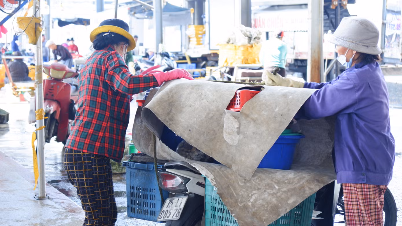 Tiểu thương các chợ sau khi chọn và mua được hải sản chất lên xe máy để đưa về chợ bán. (Ảnh: Nguyễn Thành)