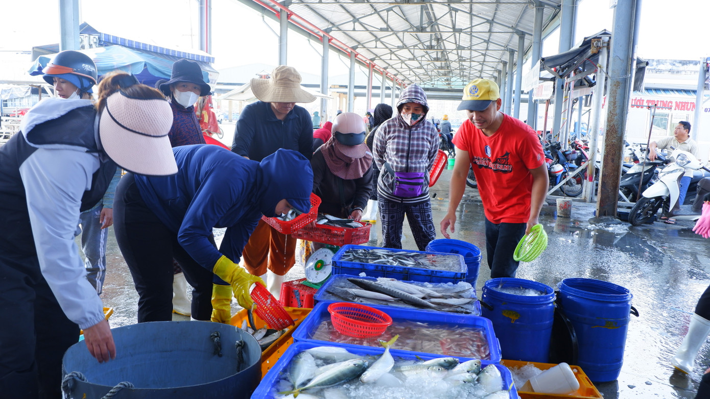 Các loại hải sản đều được ngư dân đánh bắt xuyên Tết. Những chuyến biển đầu năm mang về đủ loại cá, mực, tôm, cua...