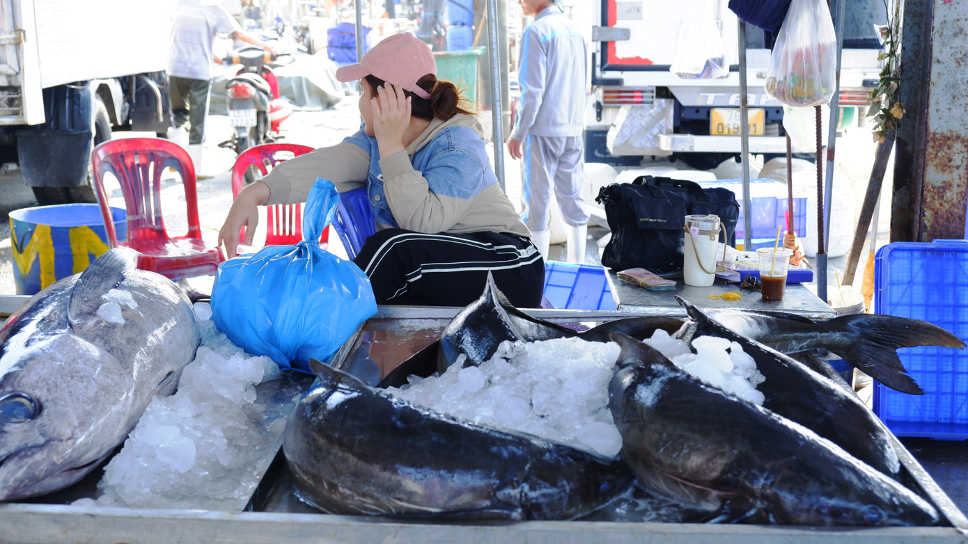 Các loại hải sản lấy từ tàu cá ngư dân mới đánh bắt, được bày bán dọc các lối đi. Theo các tiểu thương, giá các loại sau Tết có tăng nhẹ, nhưng không đáng kể.