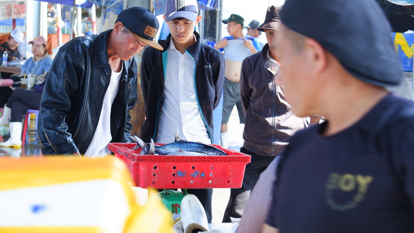 Tỷ mẩn lựa chọn, kỹ càng cân từng giỏ cá. Nhiều khách mua lẻ đến chợ để mua hải sản làm quà.