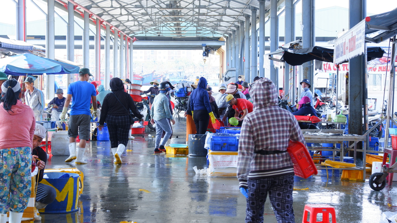 Chợ cảng Thọ Quang là chợ hải sản lớn nhất miền Trung. Mỗi ngày có hàng trăm lượt tàu cá ra vào cảng bán hải sản và neo đậu tàu thuyền tại âu thuyền Thọ Quang. (Ảnh: Nguyễn Thành)