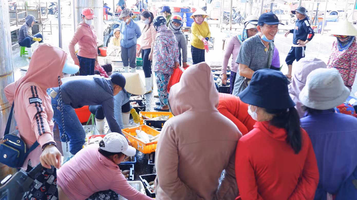 Chợ cảng cá Thọ Quang mỗi ngày cung ứng hàng trăm tấn cá cho các chợ tại Đà Nẵng và các tỉnh thành ở miền Trung.