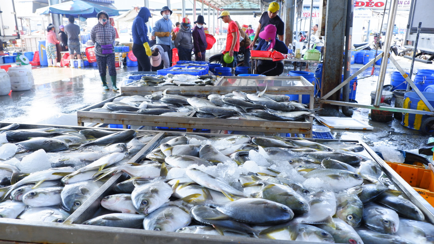 La liệt cá chim biển trắng, một loại hải sản ngon được nhiều thực khách ưa chuộng.