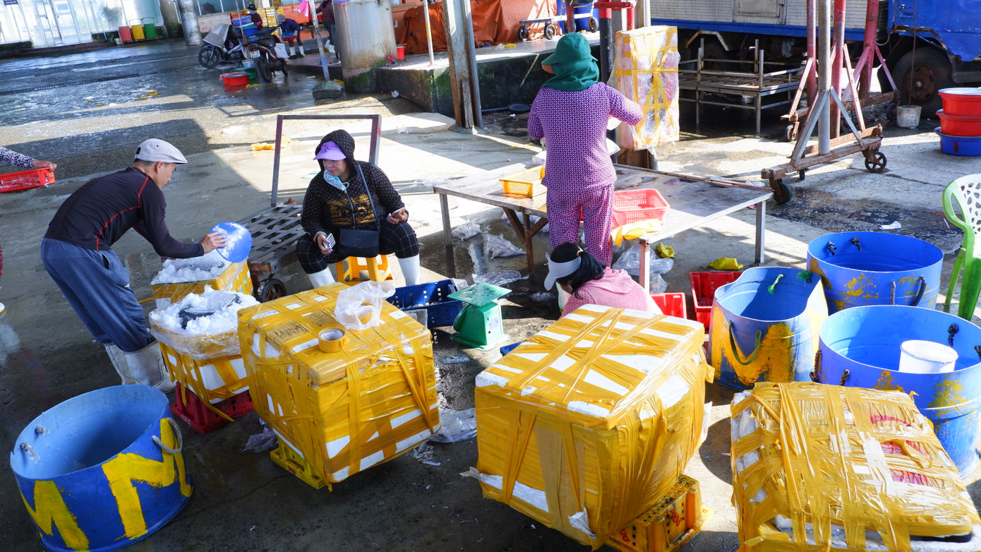 Hải sản sau khi thu mua được tiểu thương đóng thùng để gửi đi khắp cả nước.