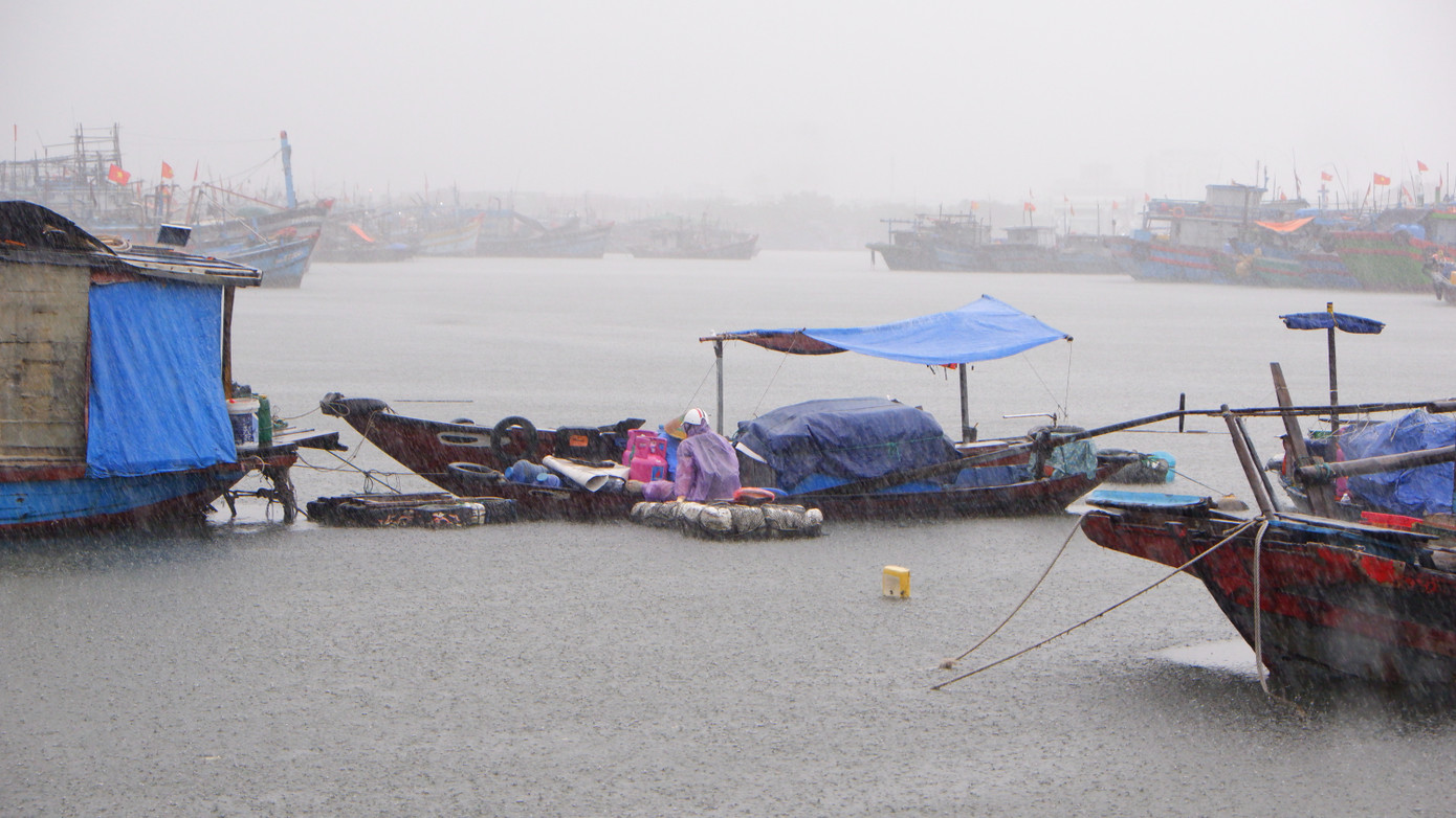 Nhiều thuyền gắn máy neo đậu tại âu thuyền Thọ Quang (quận Sơn Trà) sáng nay 18/9 đã bị vào nước do mưa quá lớn, nguy cơ chìm nên người dân gọi nhau cùng tát nước để kéo thuyền lên bờ. Nhiều thuyền gắn máy neo đậu tại âu thuyền Thọ Quang (quận Sơn Trà) sáng nay 18/9 đã bị vào nước do mưa quá lớn, nguy cơ chìm nên người dân gọi nhau cùng tát nước để kéo thuyền lên bờ.