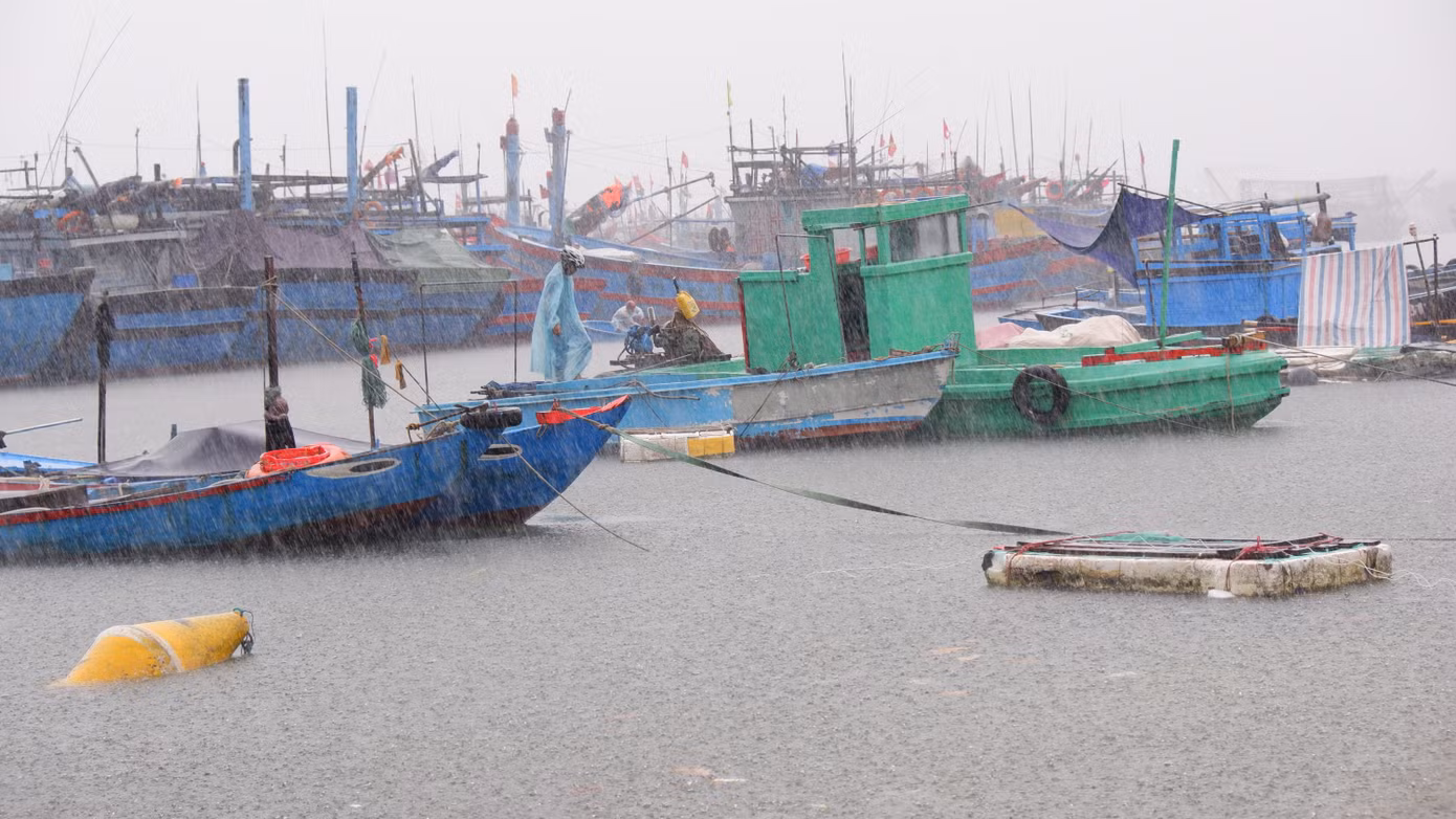 Do ảnh hưởng của áp thấp nhiệt đới mạnh lên thành bão (bão số 4) khu vực Đà Nẵng đang có mưa to, khu vực ven biển gió bắt đầu lớn từng hồi. Để bảo vệ tài sản, ngư dân Đà Nẵng dầm mình trong mưa, gió để neo đậu, đưa tàu thuyền vào nơi an toàn. Ảnh: Nguyễn Thành Do ảnh hưởng của áp thấp nhiệt đới mạnh lên thành bão (bão số 4) khu vực Đà Nẵng đang có mưa to, khu vực ven biển gió bắt đầu lớn từng hồi. Để bảo vệ tài sản, ngư dân Đà Nẵng dầm mình trong mưa, gió để neo đậu, đưa tàu thuyền vào nơi an toàn. Ảnh: Nguyễn Thành