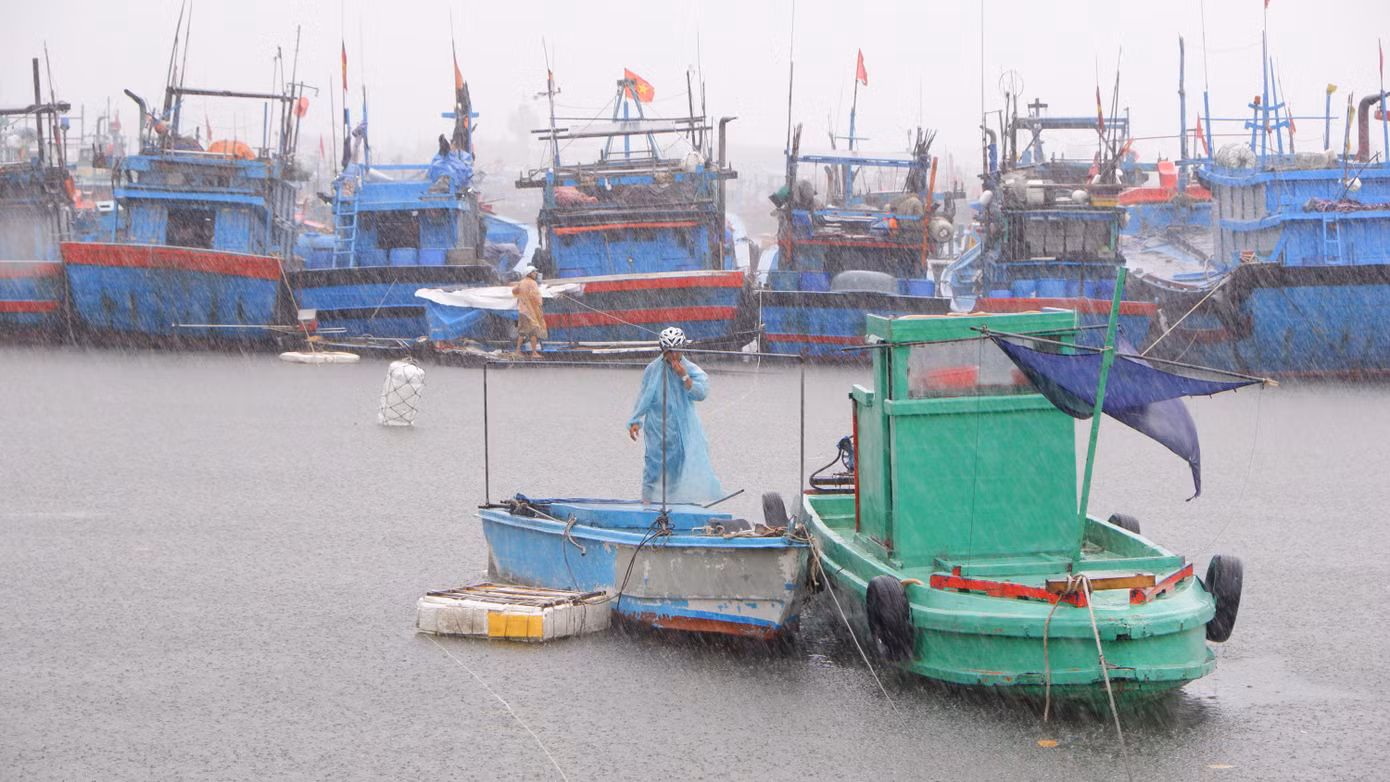 Hiện vẫn còn 62 phương tiện tàu thuyền với 617 lao động của Đà Nẵng đang hoạt động trên biển. Trong đó, khu vực vịnh Bắc Bộ có 1 phương tiện với 7 lao động; khu vực ven bờ từ Quảng Trị - Đà Nẵng là 10 phương tiện với 87 lao động; khu vực bắc biển Đông - Hoàng Sa 41 phương tiện với 452 lao động; khu vực giữa biển Đông - Trường Sa 10 phương tiện với 71 lao động. Ảnh: Nguyễn Thành. Hiện vẫn còn 62 phương tiện tàu thuyền với 617 lao động của Đà Nẵng đang hoạt động trên biển. Trong đó, khu vực vịnh Bắc Bộ có 1 phương tiện với 7 lao động; khu vực ven bờ từ Quảng Trị - Đà Nẵng là 10 phương tiện với 87 lao động; khu vực bắc biển Đông - Hoàng Sa 41 phương tiện với 452 lao động; khu vực giữa biển Đông - Trường Sa 10 phương tiện với 71 lao động. Ảnh: Nguyễn Thành.