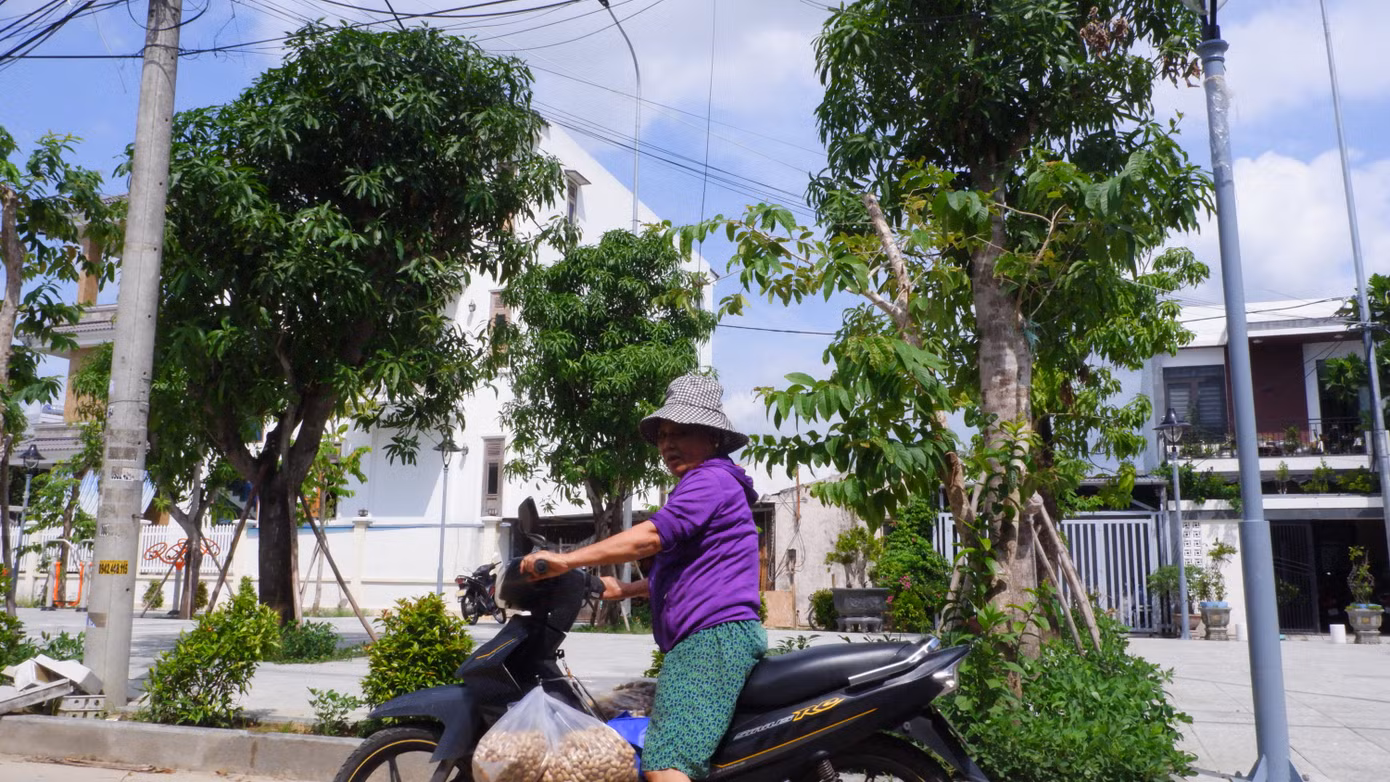 Người dân Sơn Trà vui mừng vì khuôn viên nhà sinh hoạt cộng đồng nhiều cây xanh. Ảnh: Nguyễn Thành. Người dân Sơn Trà vui mừng vì khuôn viên nhà sinh hoạt cộng đồng nhiều cây xanh. Ảnh: Nguyễn Thành.