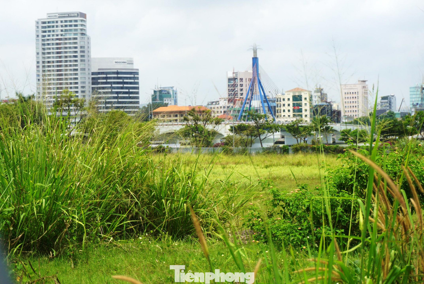 Mới đây, UBND TP Đà Nẵng cũng vừa ban hành nhiều quyết định gia hạn thời gian sử dụng đất là 24 tháng đối với các chủ lô đất lớn bỏ hoang nhiều năm. Lý do của việc gia hạn là do chưa đưa đất vào sử dụng theo quy định của Luật Đất đai 2013. Trường hợp hết thời gian được gia hạn mà các chủ khu đất vẫn chưa đưa đất vào sử dụng thì Nhà nước thu hồi đất mà không bồi thường về đất và tài sản gắn liền với đất, trừ trường hợp do bất khả kháng.