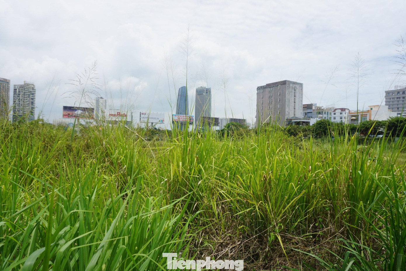 Nhiều dự án lớn được Đà Nẵng giao đất, thuê đất cả chục năm nay nhưng không thấy triển khai (ảnh: Nguyễn Thành). Nhiều dự án lớn được Đà Nẵng giao đất, thuê đất cả chục năm nay nhưng không thấy triển khai (ảnh: Nguyễn Thành).