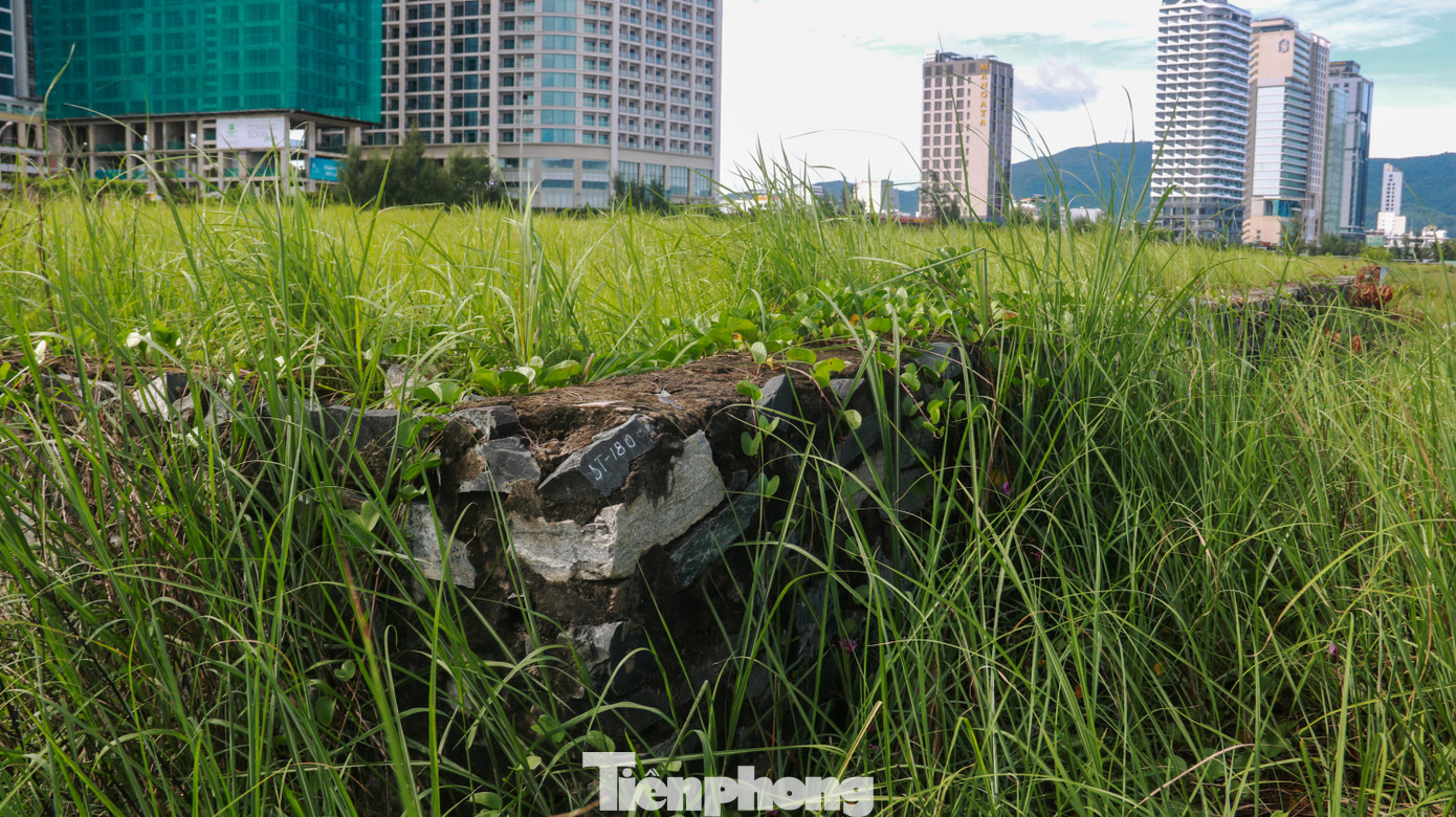 Bên trong những nền móng dự án đã được xây nhưng bỏ hoang nhiều năm nay.